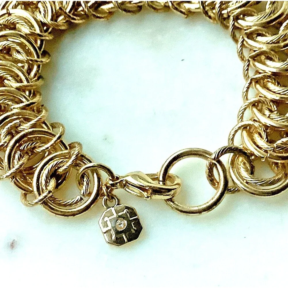 Monet vertebrae chainmaille